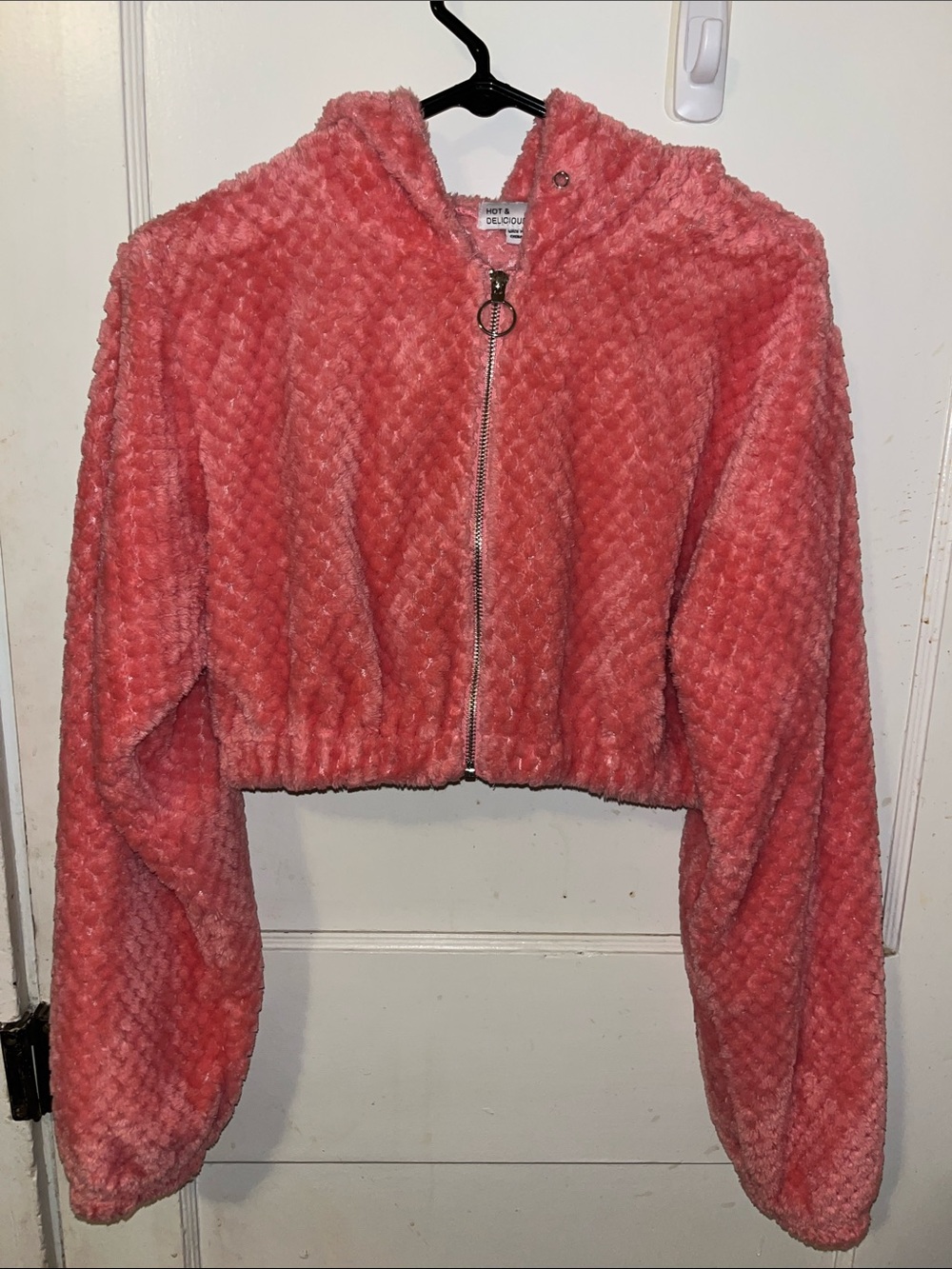 Hot & Delicious Coral Plush Cropped Teddy Jacket with Hood